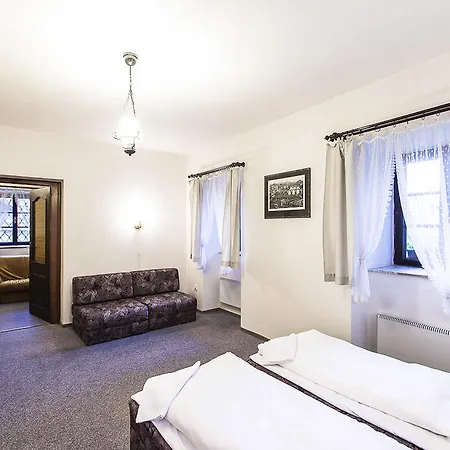 ゲストハウス U Dvou Capu 3*