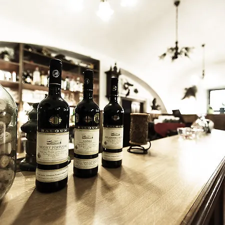 ゲストハウス U Dvou Capu Chocerady